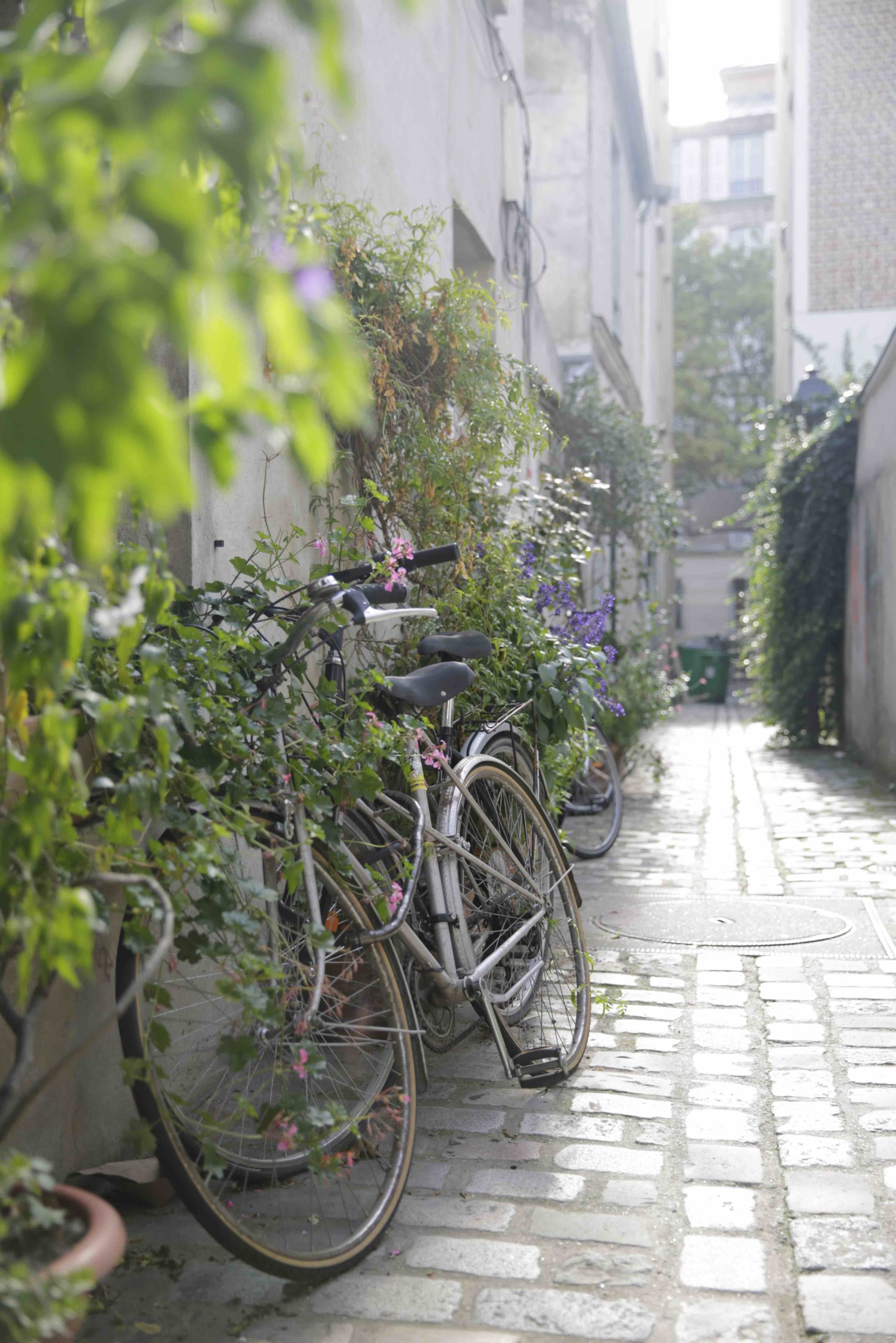 hostel_nation_passage