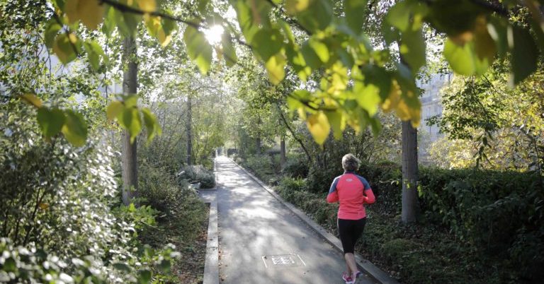 Les Jardins suspendus de Reuilly